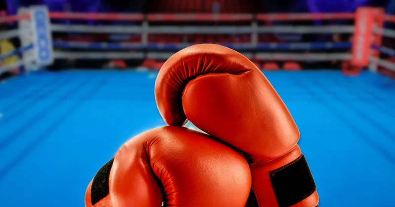 Подписаны контракты с Zuffa Boxing