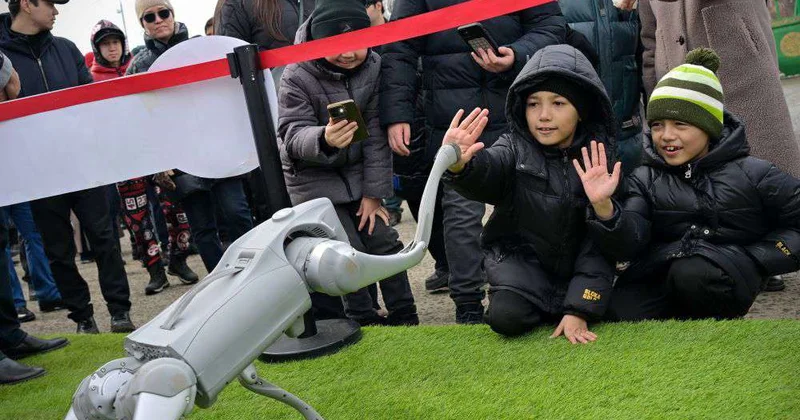 Лабиринт из сена и юрты с роботами