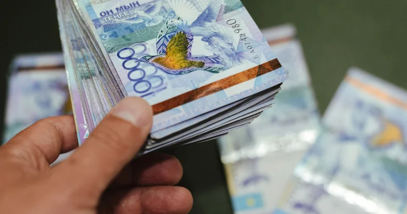 Салық қызметі қазақстандықтардың нақты табысын тексере бастайды жаңа шаралар кімдерге қатысты болады