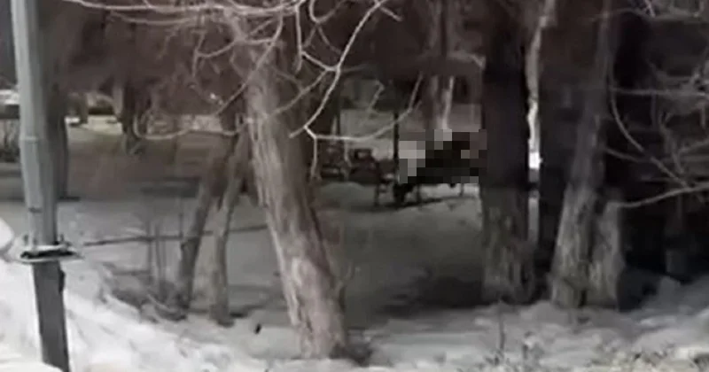 Пара занялась сексом на лавочке в Караганде