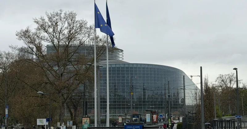 Глава АДГС представил на заседании GRECO доклад по антикоррупционной культуре