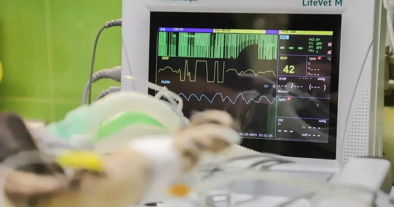 13 летний подросток умер во время операции в Астане: анестезиологу вынесли приговор спустя два года