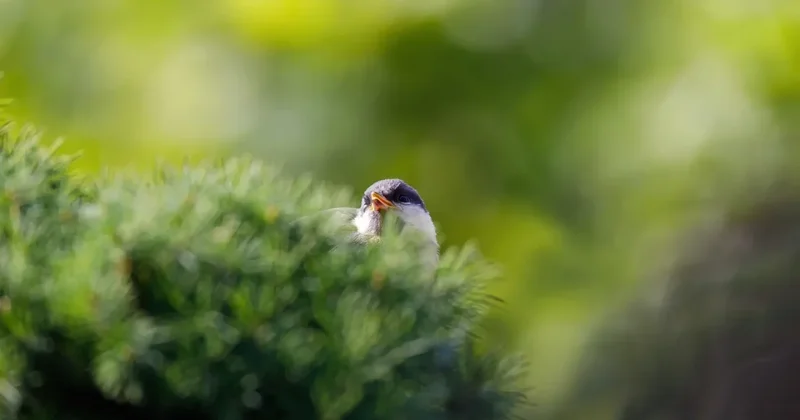 Туман и ветер прогноз погоды на 26 марта