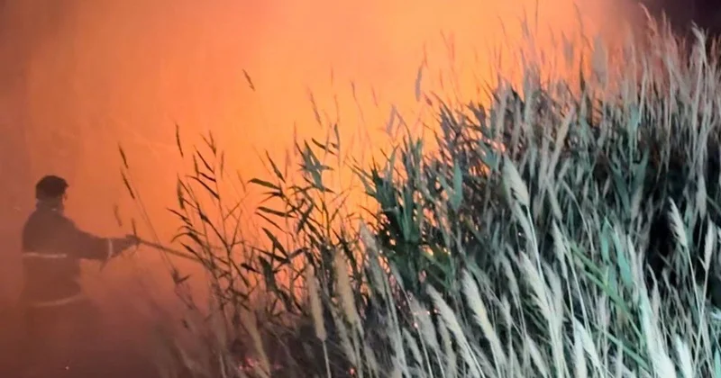 Ақжайық резерватында өрт қаупі жоғары кезең басталды