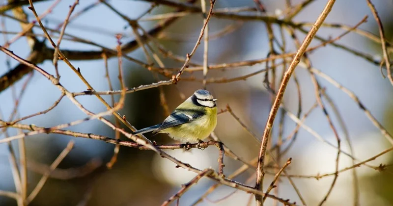 Какой сюрприз приготовила погода жителям Астаны