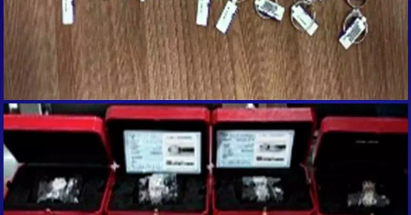 Жамбыл облысында шетелге 1 млрд теңгенің кенін заңсыз әкетпек болғандардың жолы кесілді