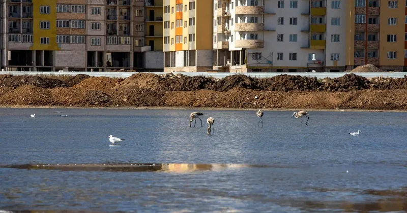 Спор по Малому Талдыколю: прокурор просит установить водоохранные полосы на трёх участках