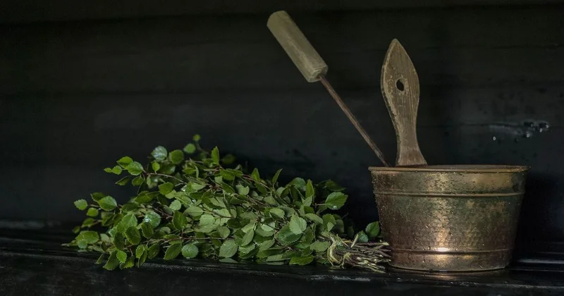 Полиция рассказала об орудующем в Астане похитителе банных веников