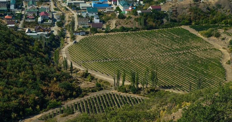 Самовольный захват земель: замакима города в Казахстане привлекли к ответственности