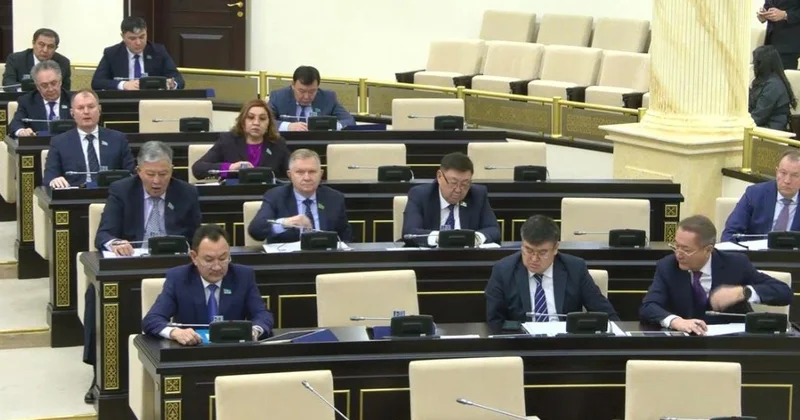 Сенат депутаты тұрғын үйдегі ортақ мүлікті заңсыз басып алу деректері көбейгенін айтты