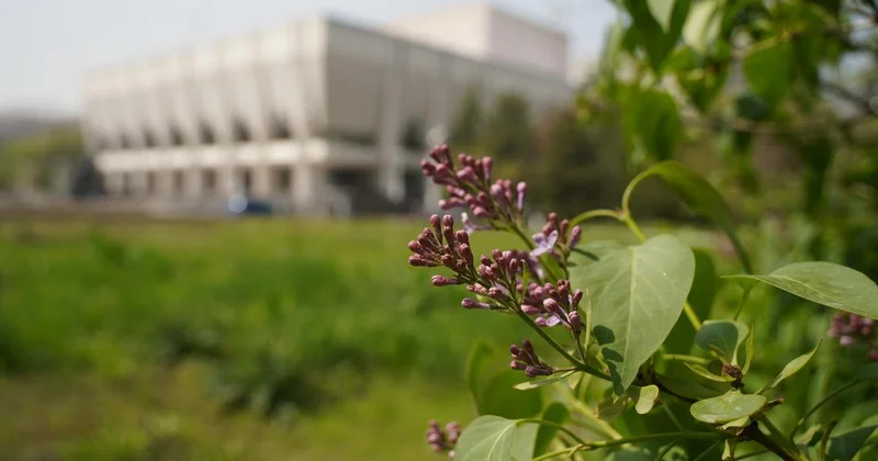 Не выгуливать животных, не собирать грибы и ягоды: санврачи обратились к алматинцам