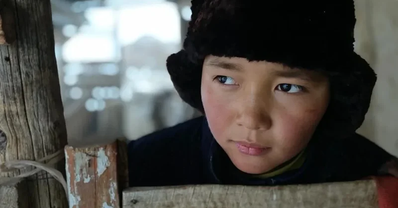 Психологические травмы от обычая бауырына салу истории и мнения казахстанцев