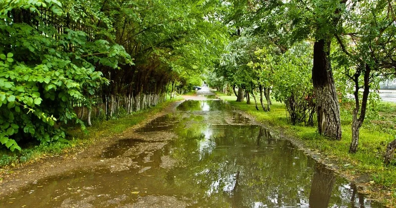 Қазақстанның басым бөлігінде күн күркіреп, жаңбыр жауады, үсік жүреді