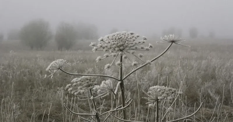 Штормовое предупреждение объявили в большинстве регионов Казахстана на 27 апреля