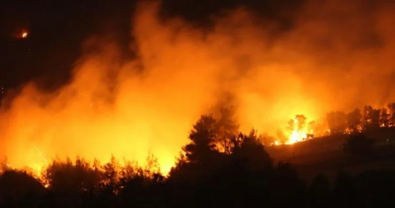 Жапониядағы орман өрті: мыңдаған адам үйін тастап кетті