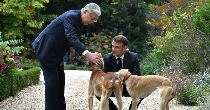 Tokayev and Macron stroll through Élysée Palace garden accompanied by Tazy dogs