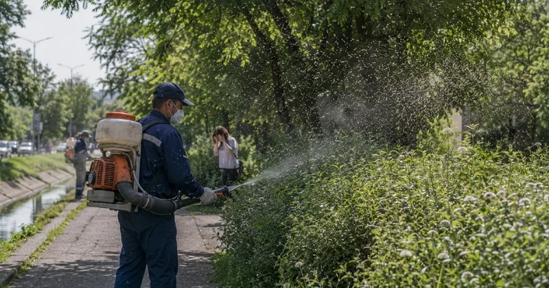 Мошкара заполонила Алматы: учёные назвали предварительные причины нашествия насекомых