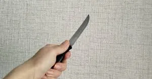 Ақмола облысында әйел адам сатушыға пышақ ала жүгірді