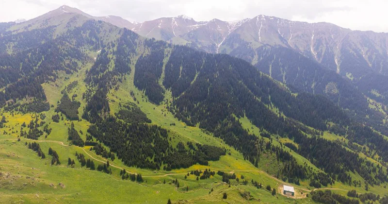 Almaty Superski: Көкжайлауда қауіпсіздік қалай қамтамасыз етіледі?