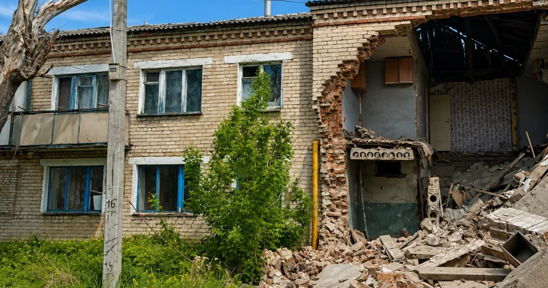 Пятая степень цинизма