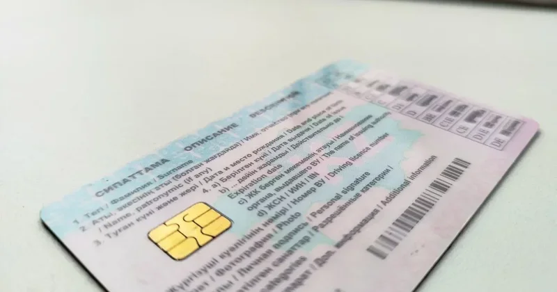 В области Абай задержали сотрудников СпецЦОНа по делу о продаже водительских прав