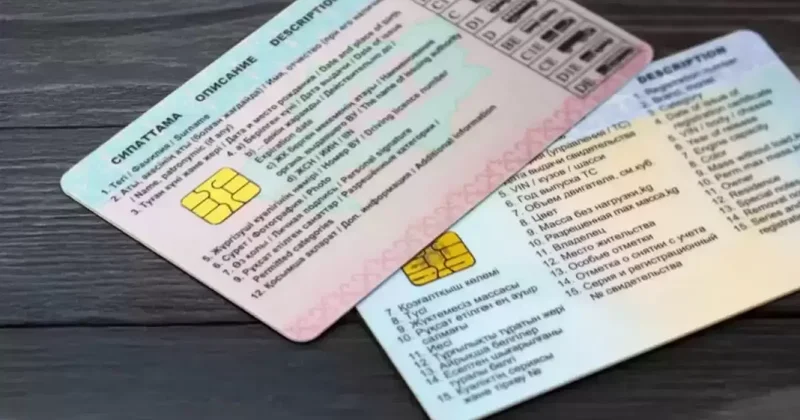 Абай облысында Мамандандырылған ХҚО қызметкерлері пара алды деген күдікке ілінді
