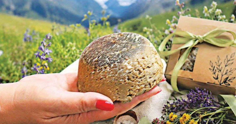 Ни грамма химии