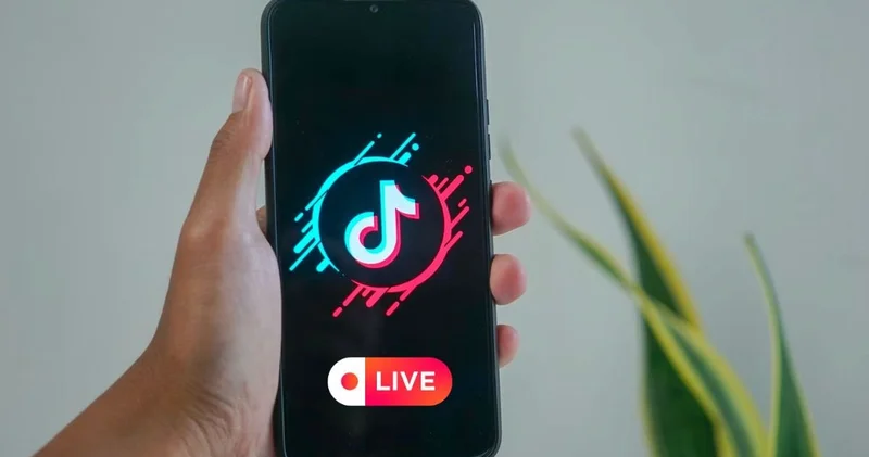 TikTok та балағат сөздер айтқан екі бойжеткен 5 тәулікке қамалды