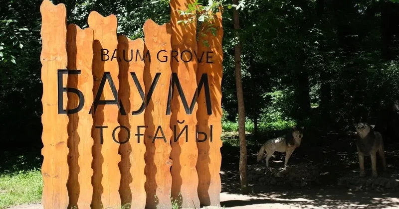 Неизвестные спилили деревья в алматинской роще Баума
