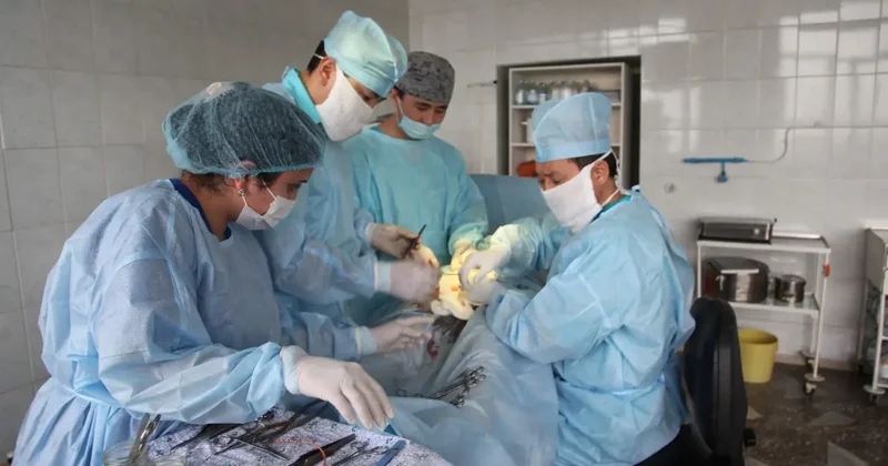 "Это вопрос жизни и смерти". Мажилис одобрил проект закона об ужесточении наказания за нападения на медиков