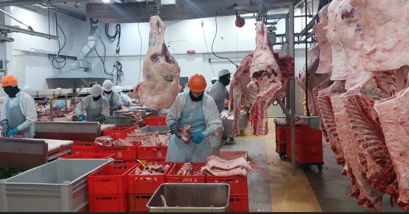 БАӘ импорттаушылары тізіміне тағы төрт отандық кәсіпорын енгізілді