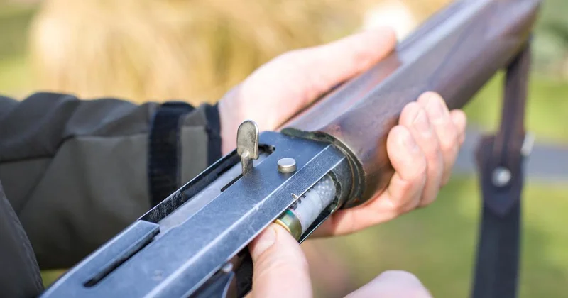 15 лет получил мужчина за стрельбу в людей в Алматинской области