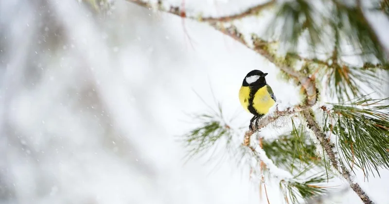 Холодный фронт принесет осадки и понижение температуры в Казахстан
