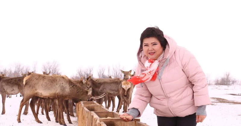 Секрет жизненной энергии