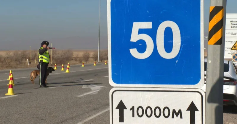 Жамбыл облысында жол апатынан болатын өлім жітім азайды