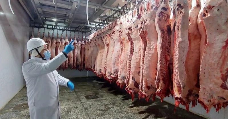 Тағы төрт қазақстандық кәсіпорын БАӘ импорттаушылары тізіміне кірді