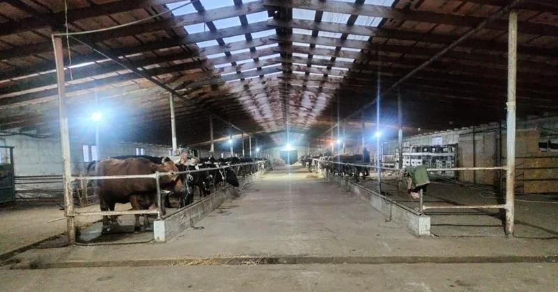 Развитие молочного производства в Ерейментауском районе