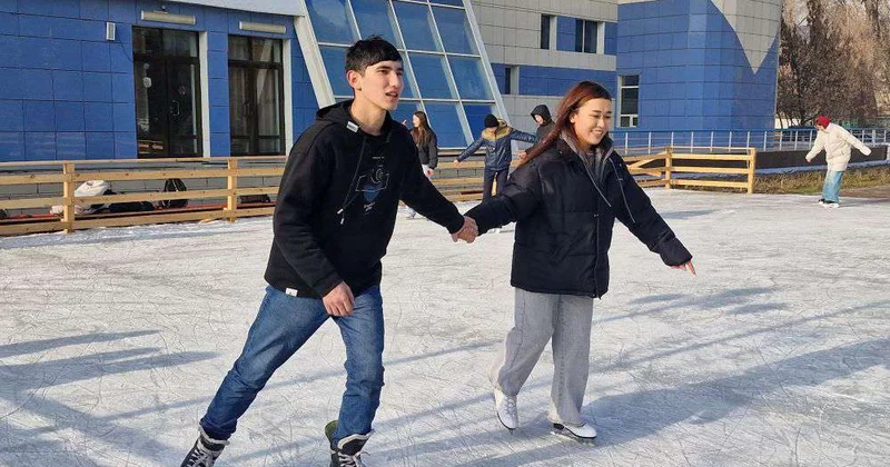 Живая елка и лед