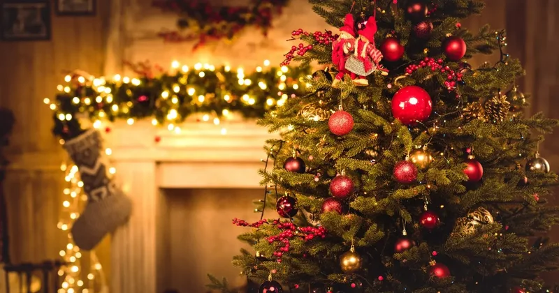 Сияние зимы: как выглядят главные новогодние ёлки в городах Казахстана