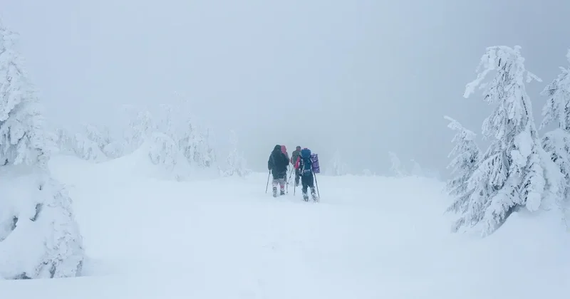 Ушли в горы и не вернулись: тело одного из троих пропавших нашли в Алматы