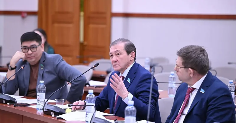 Проект закона о рейтинговой деятельности представили в мажилисе