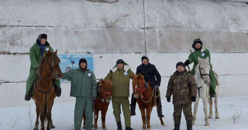 Аламан обучает любви