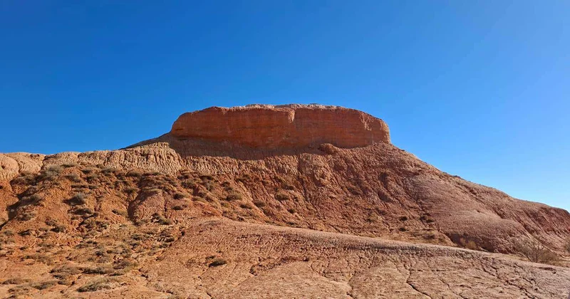 Здесь до сих пор находят останки динозавров