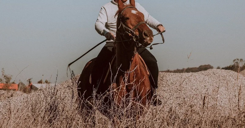 Иностранца на лошади задержали после пересечения казахстанской границы