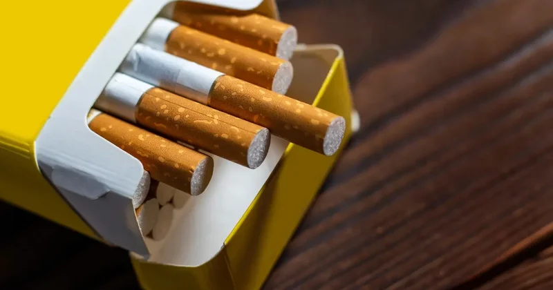 Контрабандные сигареты пытался ввезти в Казахстан иностранец верхом на лошади