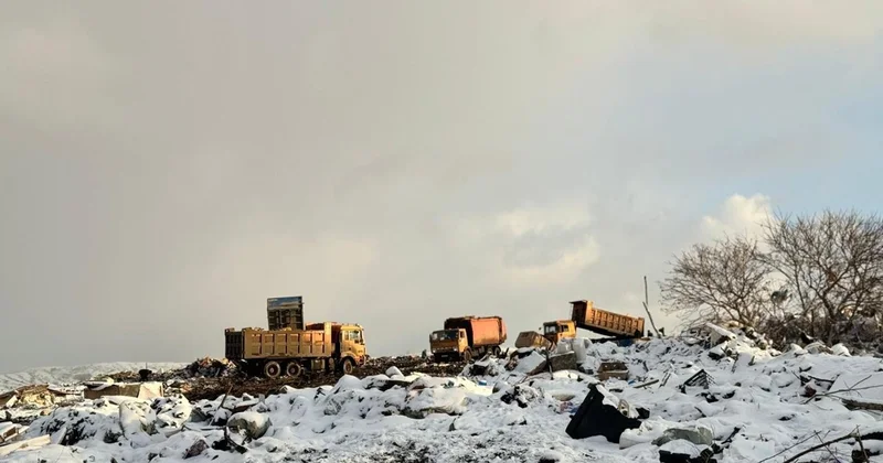 Павлодарда 16 мыңнан астам адам табиғатты ластағаны үшін жауапқа тартылды