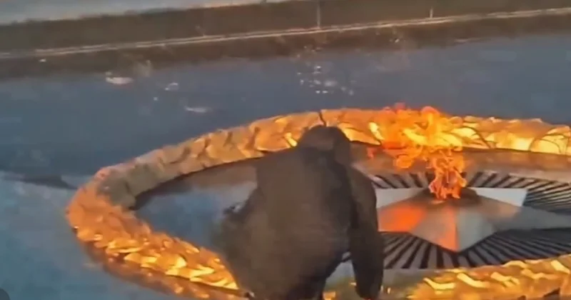 Мужчину, осквернившего Вечный огонь, задержали в Уральске