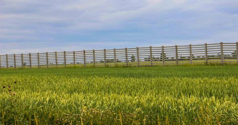 И воду сберечь, и поля напоить