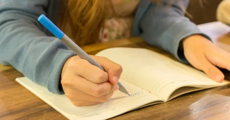 "Главное, чтобы было удобно". Нужно ли покупать школьникам бумажные дневники, ответила министр