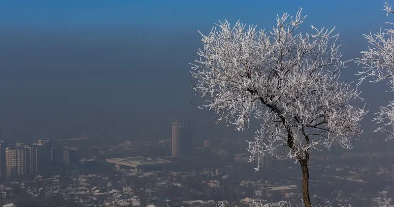 Отапливать бани твёрдым топливом запретят в Алматы: какое наказание предусмотрено